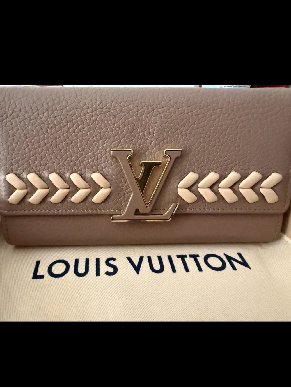 Louis Vuitton Portefeuille Capucines Long Wallet with Gold LV Emblem - Picture 13 of 14
